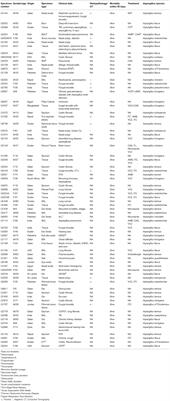 The Emergence of Rare Clinical Aspergillus Species in Qatar: Molecular Characterization and Antifungal Susceptibility Profiles